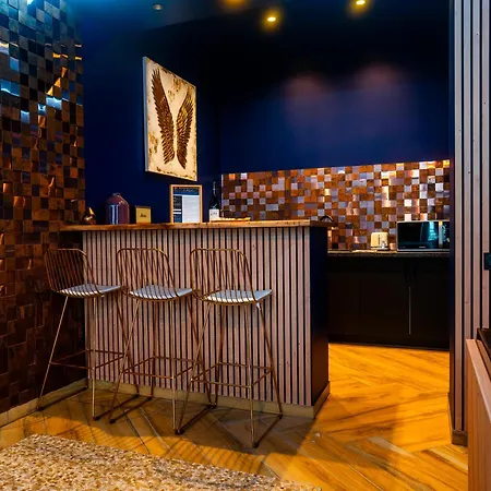 Le Voluptueux - Sauna - Jacuzzi - Centre-ville