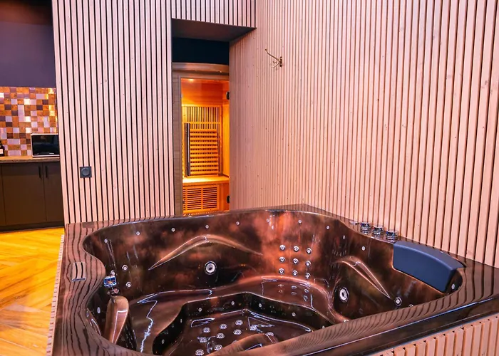 Apartmán Le Voluptueux - Sauna - Jacuzzi - Centre-ville Angers